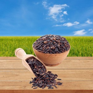 Shastha Traditional Karuppu Kavuni Rice / Black Rice – Pack of 1 × 5 lbs - 1 of 4