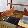 Farm Innovators HM-60P 19 x 13 Inch Heated Chicken Mat for Coops, Pens, and Nesting Areas; Works for Baby Chicks and Adults, 60 Watts (2 Pack) - 4 of 4