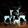 vidaXL Reindeer Family Gold Mesh, Metal Large Reindeer Family Other - White - 2 of 4