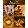 FAAYFIAN 60-LED Battery-Operated Fairy String Lights, 5 ft Silver Wire Warm White Indoor Christmas Decor Lights With Timer - 2 of 4