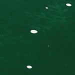 green-9*12ft