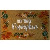Kate Aurora Fall Harvest Hey There Pumpkin Bristled Outdoor Welcome Mat - 18"x30" - 2 of 3