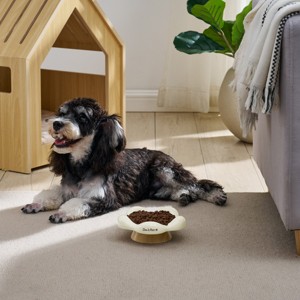 Sam's Pets Daisy Oak Stand Pet Bowl In Glossy White - 1 of 4