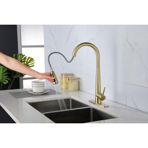 PAGED Bathroom Sink Faucet, High Arc Single Handle Bathroom Faucets with Deck Plate, Kitchen Faucet with Pull Down Sprayer - 1 of 4