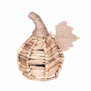 Gallerie II Small Cattail Grass Pumpkin Figurine - 1 of 3