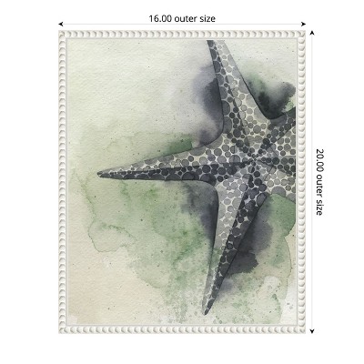 Amanti Art Found Starfish II by Grace Popp Canvas Wall Art Print Framed 16 x 20