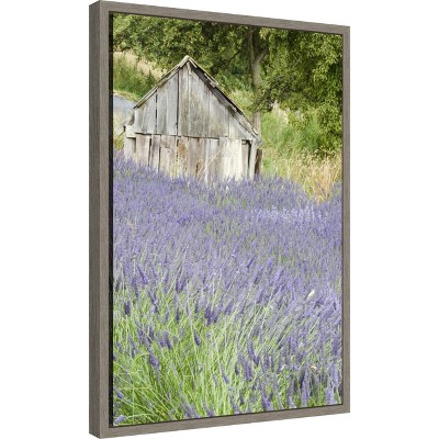 Lavender Field and Shed Framed Canvas Wall Art