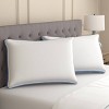 Sealy Jumbo 2pk Extra Firm Maintains Shape Pillow - 3 of 4