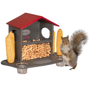 JCS Wildlife Squirrel Snack Station (Small & Large) - 1 of 4