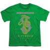 Harry Potter Slytherin By Any Means Kids T-Shirt For Youth Kelly Green - 2 of 4