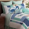 C&F Home Turtle Throw Pillow - 4 of 4