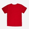 Men's Pabst Blue Ribbon Americana T-Shirt - Red - 3 of 3