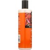 Shikai Sandalwood Moisturizing Shower Gel - 12 fz - 4 of 4