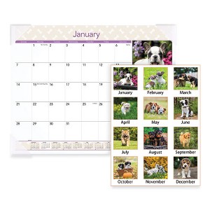 Puppies Monthly Desk Pad Calendar, Puppies Photography, 22 x 17, White Sheets, Clear Corners, 12-Month (Jan to Dec): 2025 - 1 of 4