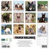 Willow Creek Press 2026 French Bulldogs Wall Calendar - 2 of 4