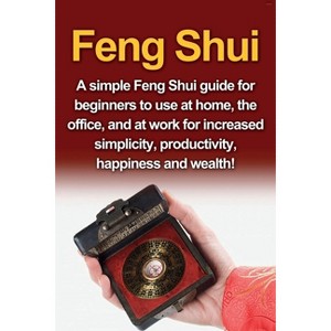 Feng Shui - by  Amy Delosa (Paperback) - 1 of 1