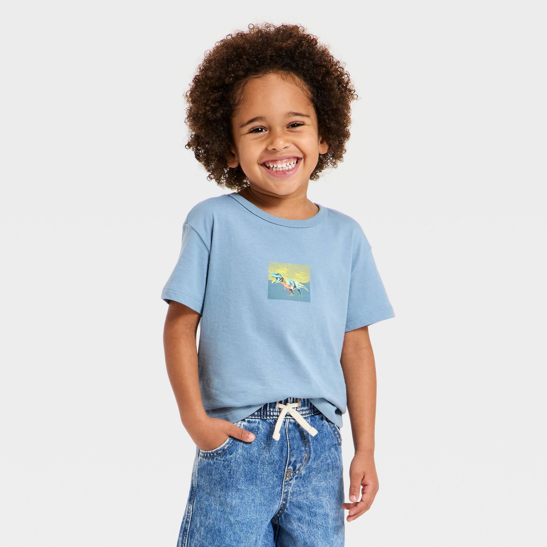 Toddler Boys' Short Sleeve Dino Graphic T-Shirt - Cat & Jack™ Blue 4T
