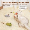 Potaroma Cat Toys: 3pcs Squeak Mice Interactive Catnip Silvervine Animals - 3 of 3