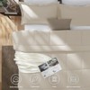 BAGOKIE All Seasons 3 Pieces Comforter Set Box Stitched Bedding Set - 3 of 4