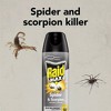 Raid Max Spider and Scorpion Killer Bug Spray - 12oz - 2 of 4