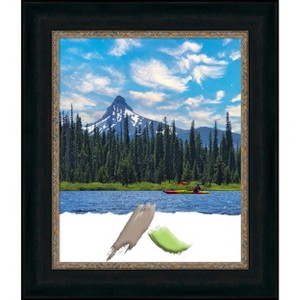Amanti Art Paragon Bronze Picture Frame - 1 of 4