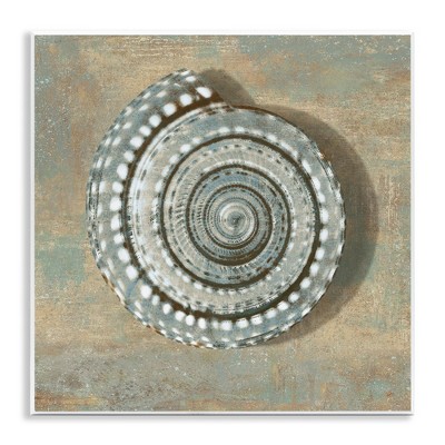 Stupell Industries Spiral Shell Beach Objects Design, 12" x 12"