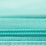 teal summer dogs