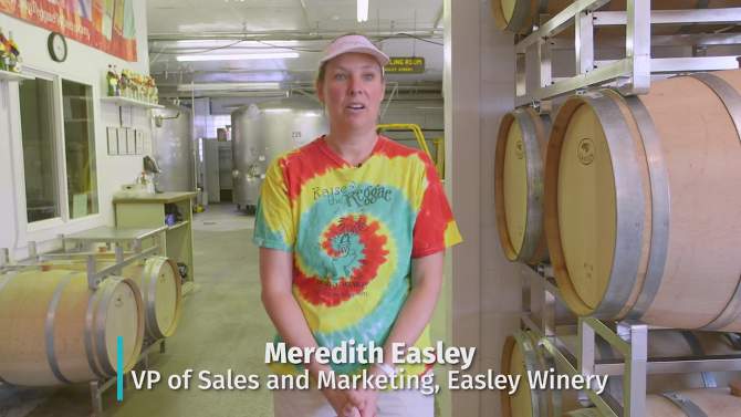 Easley Reggae Red Table Wine - 750ml Bottle, 2 of 9, play video