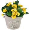 Northlight Pansy Artificial Floral Arrangement in "Flowers & Garden" Pot - 7" - Yellow - 3 of 4