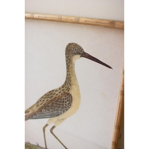 Wall Art, Framed Shorebirds Under Glass 24"H – Coastal Brown Wall Decor, Set of Two by Kalalou - 1 of 3