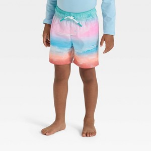 Toddler Boys' Scenic Beach Swim Shorts - Cat & Jack™ Pink/Blue - 1 of 3