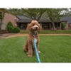 Country Brook Petz Deluxe Dog Collar - Camouflage Collection - Made in The U.S.A. - 4 of 4