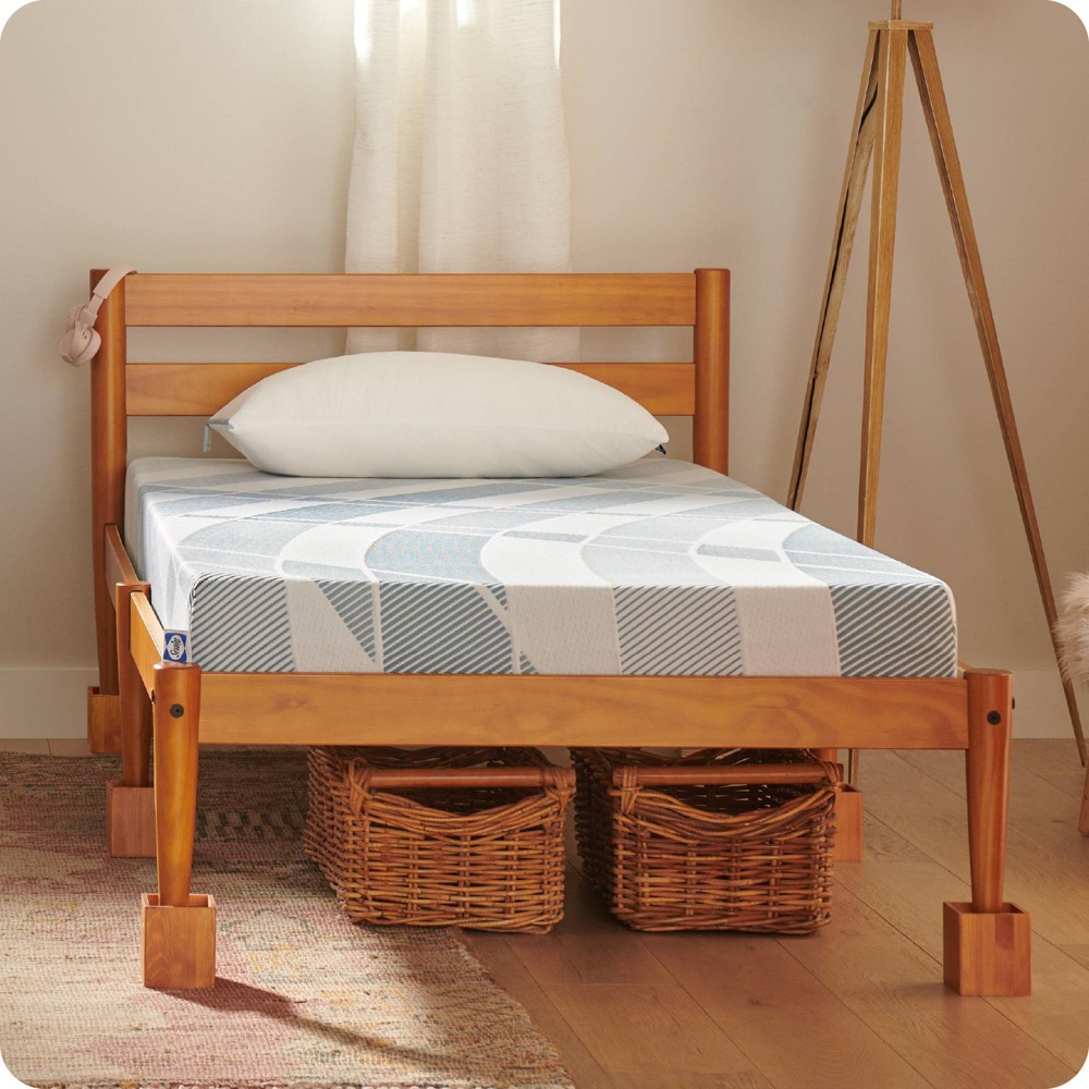 Sealy Dreamlife Twin 6" Foam Mattress