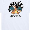 Boys' - Pokémon - Charizard Flash Fire Short Sleeve Graphic T-Shirt - 2 of 4