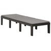 vidaXL Sun Lounger with Cushion Plastic Anthracite - 3 of 4