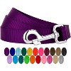 Country Brook Petz 3/4 Inch Nylon Dog Leash - 4 of 4