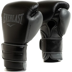 Everlast Powerlock 2 Pro Hook and Loop Training Boxing Gloves - 1 of 1