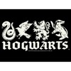 Boy's Harry Potter House Mascots Pull Over Hoodie - 2 of 4