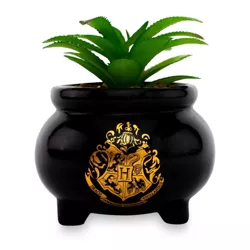 Silver Buffalo Harry Potter Hogwarts Cauldron Ceramic Mini Planter With Artificial Succulent
