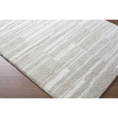 Hauteloom Carlen Living Room, Bedroom Area Rug - Contemporary - Plush Pile