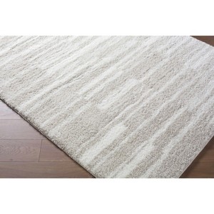 Hauteloom Carlen Living Room, Bedroom Area Rug - Contemporary - Plush Pile - 1 of 4