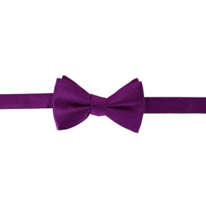 Ascentix Etched Herringbone Twist Bowtie - 1 of 3