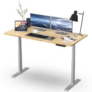Rise Up - electric adjustable height standing desk - 1 of 4