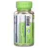 Solaray True Herbs, Echinacea, Purpurea & Angustifolia, 100 VegCaps - 3 of 4