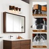 BAOURE 20.08" Black Bathroom Vanity Light Fixture, Rustic Wall Sconces with Glass Shade,Vanity Lighting Fixtures Over Mirror for Living Room Hallway - 4 of 4