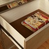 Schulich 2 Drawer Nightstand Champagne - HOMES: Inside + Out - 4 of 4