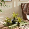 Plum & Post Maidenhair Drop-Ins Set of 3 - 2 of 4