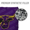 NCAA Minnesota State Mavericks 4pk Purple Toss Game Set - 4 of 4
