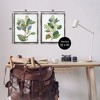 Stupell Industries Soft Eucalyptus Plant Ombre Leaves 2pc Floating Frame Art Set - 3 of 4