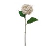 Floral Home 22" Cream Pink Hydrangea Stem - 12-Piece - 2 of 2